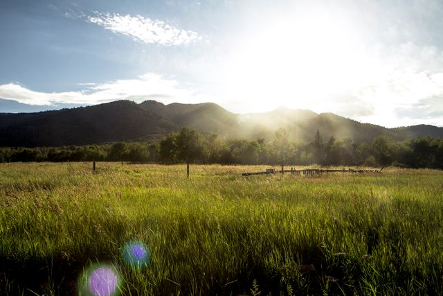 Sunrise Over Serene Mountain Meadow with Lens Flare - Download Free Stock Photos Pikwizard.com