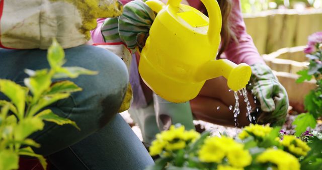 Close-up of People Gardening and Watering Flowers During Springtime - Download Free Stock Images Pikwizard.com