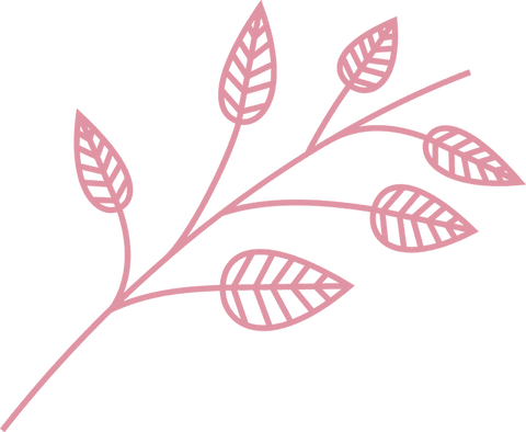 stylized pink botanical branch outlines on transparent background - Download Free Stock Videos Pikwizard.com
