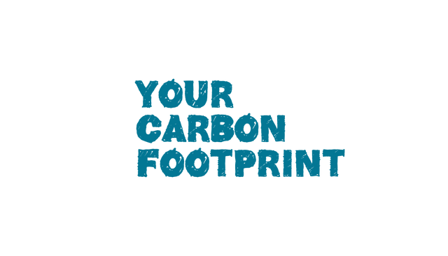 Your Carbon Footprint Text on Transparent Background - Download Free Stock Videos Pikwizard.com