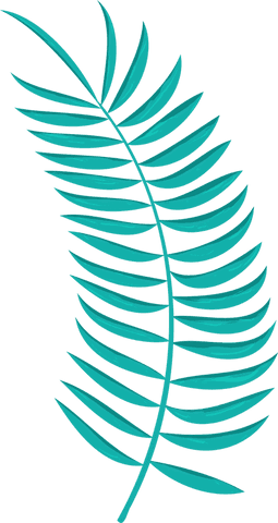 Minimalistic teal botanical frond with transparent background