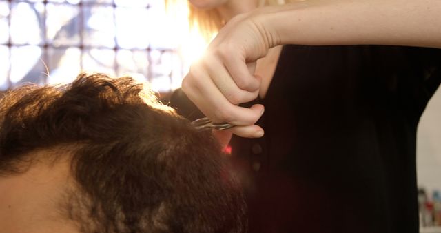 Hairstylist Cutting Hair in Sunlit Salon - Download Free Stock Images Pikwizard.com