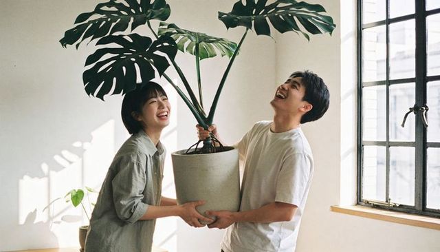 Asian couple laughing while carrying large monstera plant in sunlit minimalist apartment