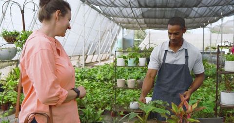Nursery Worker Assisting Customer in Lush Greenhouse Setting