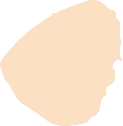 abstract pale beige shape with smooth wavy edges on transparent background - Download Free Stock Videos Pikwizard.com