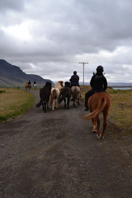 Several people are horseback riding along a dirt path, set against a background of mountains and fields. Ideal for promoting tourism, outdoor activities, adventure sports, or nature excursions. Can be used in travel blogs, tourism brochures, and outdoor sports advertisements.