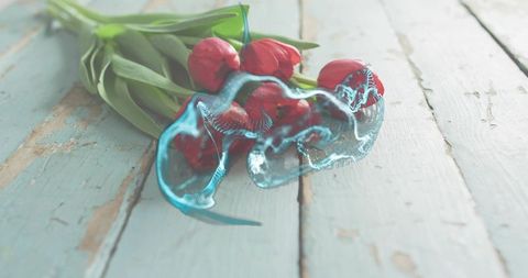 Glistening Red Tulip Bouquet Lying on Distressed Blue Wood with Translucent Aqua Splash