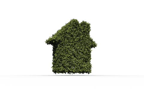 Transparent Greenhouse Concept with Leaf House Shape