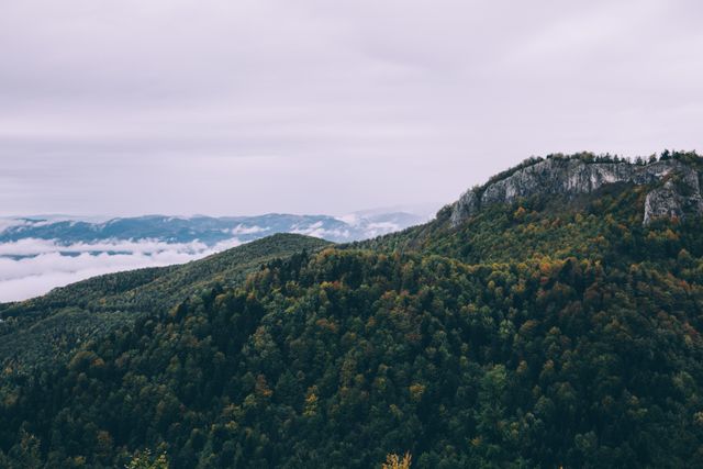 Scenic Mountain Landscape with Lush Green Forest in Cloudy Weather - Download Free Stock Images Pikwizard.com