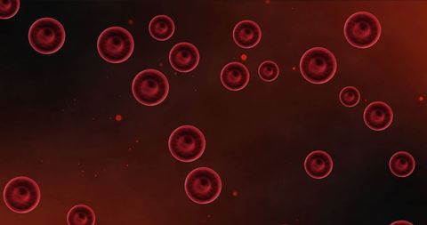 red blood cells on dark background highlighting health - Download Free Stock Images Pikwizard.com