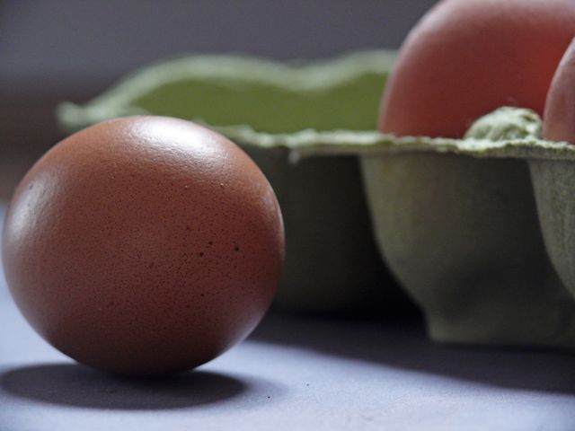 Fresh Brown Eggs in Carton on Kitchen Counter - Download Free Stock Images Pikwizard.com