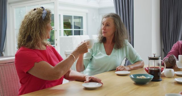 Senior women are enjoying tea together in a modern living room. The bright and airy atmosphere adds to the comfortable and relaxed environment. This image can be used to promote social gatherings, elderly living, and friendship among mature women. Ideal for marketing campaigns, websites about wellness, and community-focused projects.