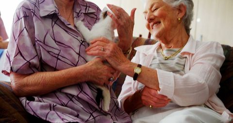 Joyful Seniors Connecting Over Pet