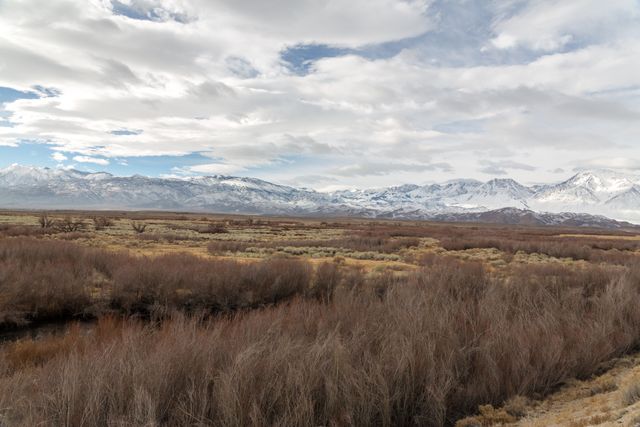 Panoramic view of a vast wilderness area with snow-capped mountains under cloudy skies, perfect for use in travel blogs, outdoor adventure marketing campaigns, environmental awareness materials, and nature-themed project backgrounds.