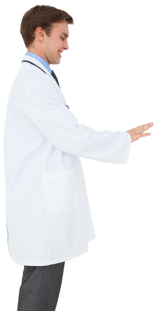 Caucasian Male Doctor on Transparent Background in Healthcare Concept - Download Free Stock Videos Pikwizard.com