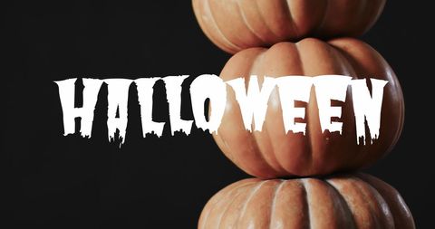 Halloween Typography Over Pumpkins Celebrating Halloween Spirit