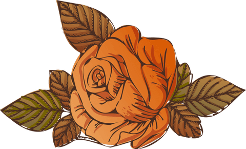 Stylized Blooming Orange Rose with Leaves on Transparent Background