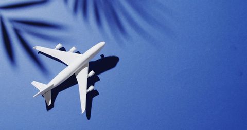 Airplane Model with Leaf Shadows on Blue Background - Download Free Stock Images Pikwizard.com