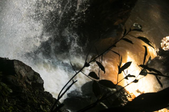 Dramatic Waterfall Seen Through Sunlit Foliage - Download Free Stock Photos Pikwizard.com