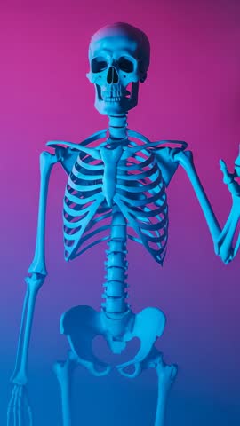 Vertical video showing skeletal model waving right arm on pink-blue neon gradient for medical and Ha