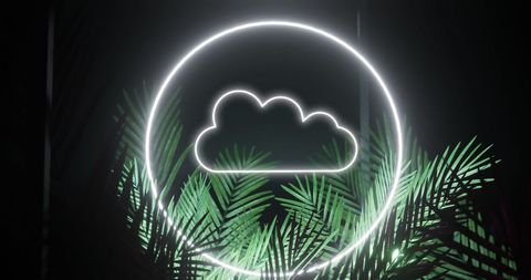 Neon cloud icon with glowing tropical leaves in digital concept