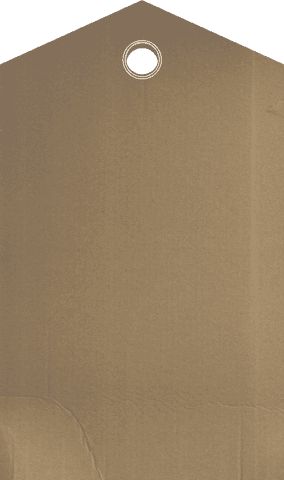 Transparent Brown Paper Tag with Metallic Eyelet for Custom Labels - Download Free Stock Videos Pikwizard.com
