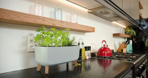 Contemporary Kitchen with Herb Planter and Red Kettle