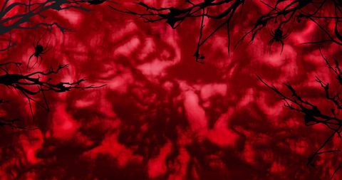 Spooky Halloween Spider Silhouette on Dark Red Background