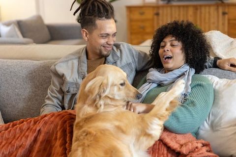 Diverse couple cuddling golden retriever on cozy sofa, relaxing with blanket and laughter