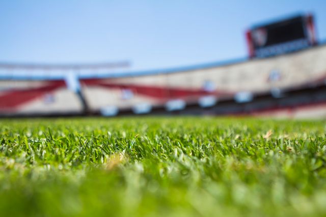 The image shows a close-up view of lush green grass on a football stadium field, with the blurred background of empty spectator stands. Perfectly trimmed and fresh, the grass showcases the sporting arena in preparation for an upcoming match. Ideal for sports-related marketing, advertisements, blogs, and articles about soccer, stadium maintenance, or outdoor sports events.