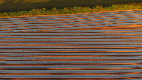 Aerial View of Plowed Field with Furrows pattern