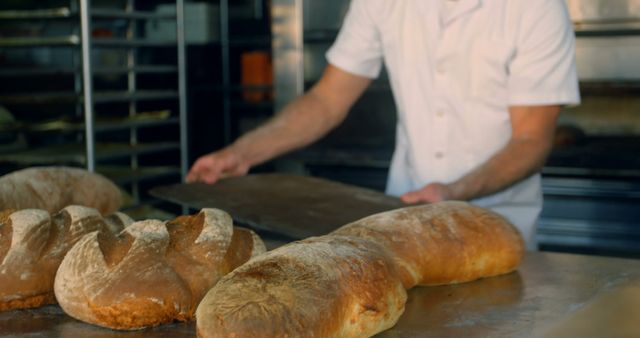 Baker Preparing Fresh Bread in Bakery Kitchen - Download Free Stock Images Pikwizard.com