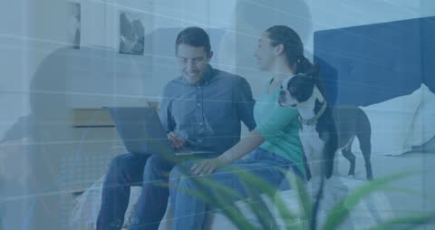 Couple Analyzing Data at Home with Dog Nearby