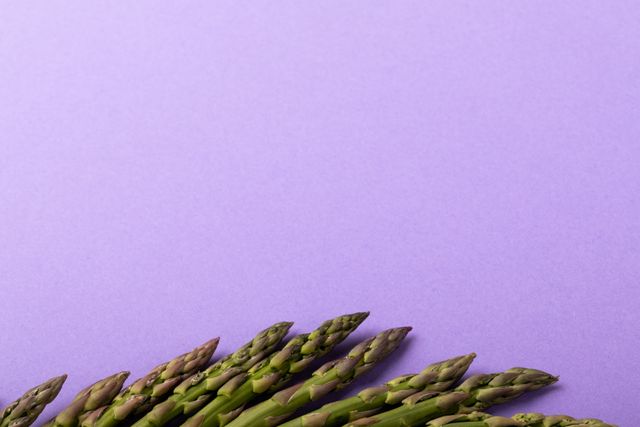 Overhead view of asparagus on purple background with copy space. unaltered, food, healthy eating, studio shot and organic.