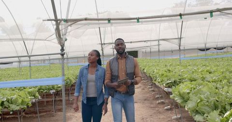 Colleagues Walking Through Greenhouse Hydroponic Farm Discussing Work