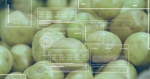 Potato produce with transparent hud overlay showing data readouts and futuristic analytics
