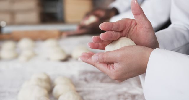 Hands Shaping Dough Balls in Bakery Kitchen - Download Free Stock Images Pikwizard.com