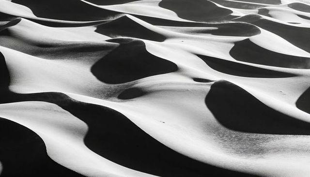 Monochrome wind-sculpted sand dunes forming sinuous crests and high-contrast soft ripples