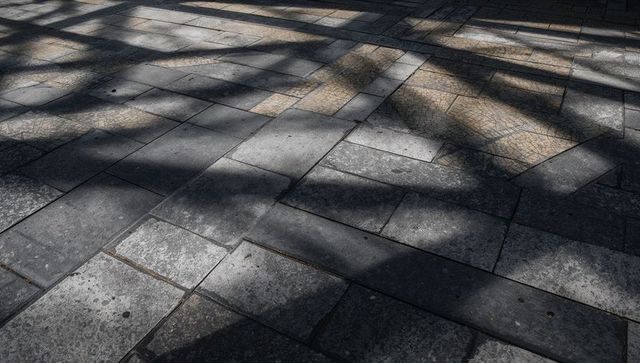 Sunlit urban stone pavement showing dramatic palm shadows, mosaic inset and weathered tiles