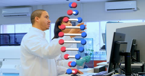 Caucasian Scientists Analyzing DNA Model in Laboratory