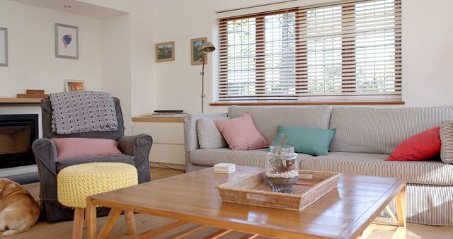 Cozy Living Room with Modern Furniture and Natural Light - Download Free Stock Images Pikwizard.com