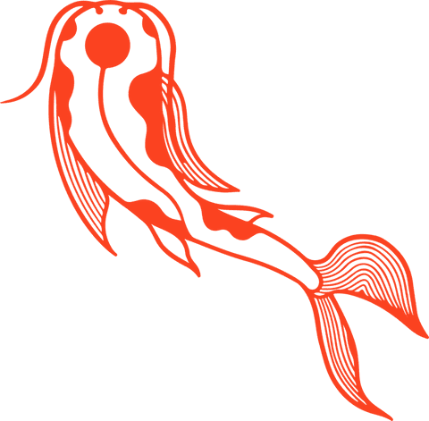 Ornamental Abstract Jellyfish on Transparent Background - Download Free Stock Videos Pikwizard.com