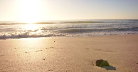 Serene Sunset Beach with Single Leaf Highlighting Nature's Beauty - Download Free Stock Images Pikwizard.com