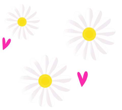Elegant minimalist daisies and pink hearts on transparent background