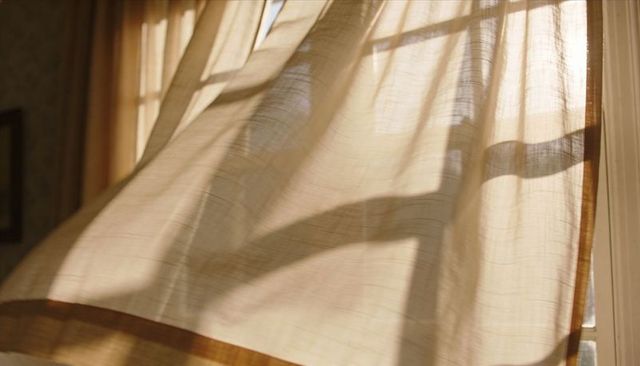 Billowing sheer beige curtain casting muntin shadows and warm sunlight