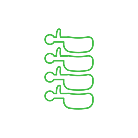 abstract green spine shape on transparent background - Download Free Stock Videos Pikwizard.com