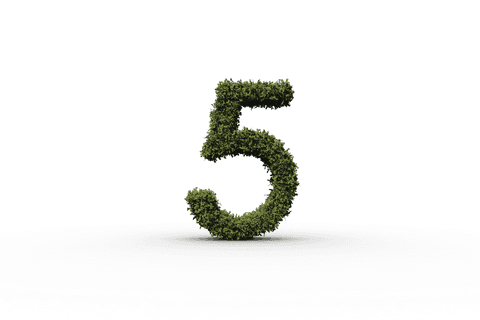grass textured number 5 on transparent background - Download Free Stock Videos Pikwizard.com