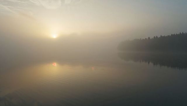 Glowing mist reflecting sun over calm lake with forest silhouette and gentle ripples