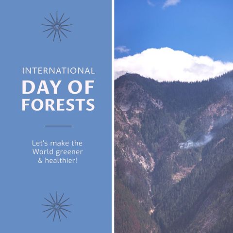 Celebration of Forest Conservation on International Day of Forests - Download Free Stock Templates Pikwizard.com
