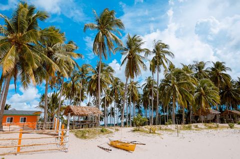 Sunny Tropical Paradise with Palm Trees and Beachfront Reflections